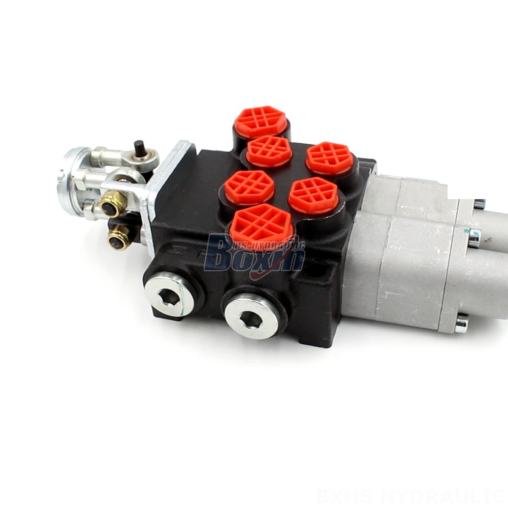 Manufacturer of P40 Monoblock Valves: Wholesale & Customization Available cover photo